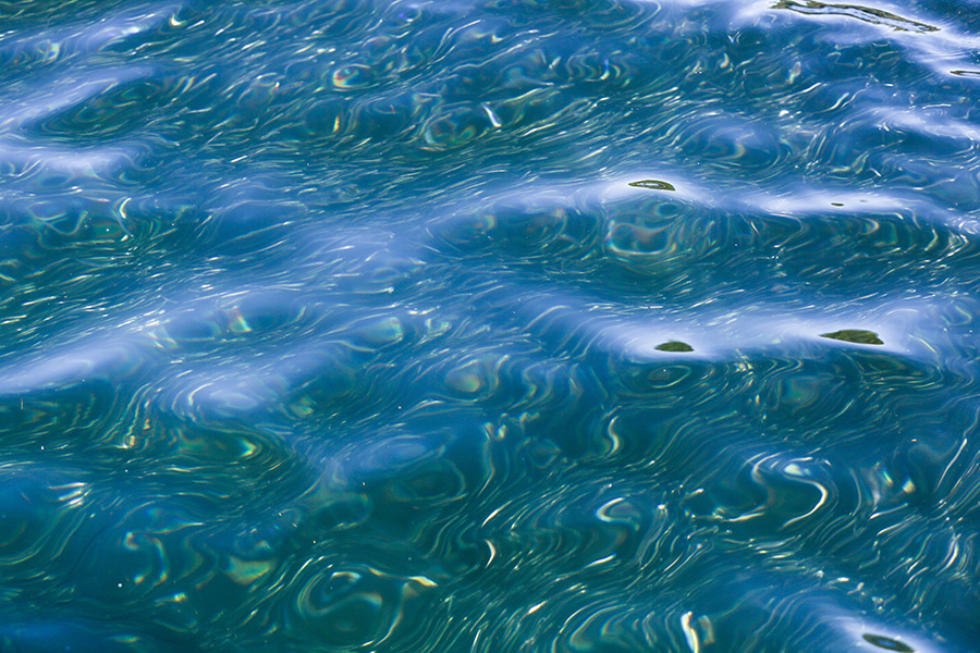 Micro-baits are lethal during the anchovy season, but they seem just as effective throughout the year in very different situations.