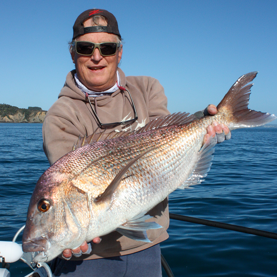 These products might have been brought in to catch trout, but the snapper really like them, too!