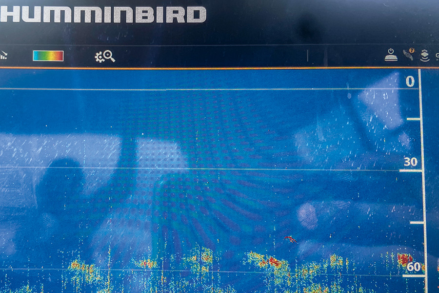 Catching Striped Marlin on Lures - Part 2 - The Fishing Website