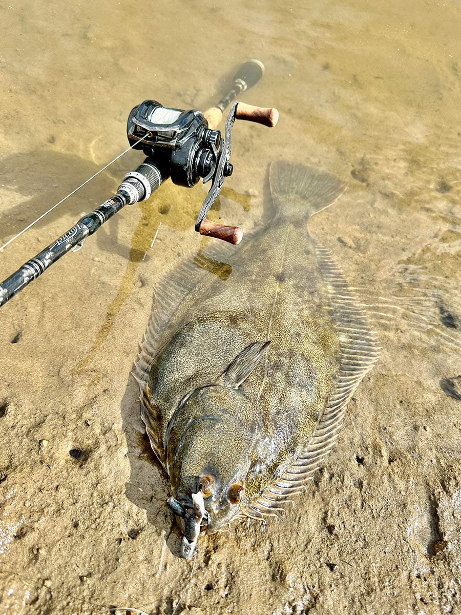 Catching Flounder on Small Baits & Lures The Fishing site