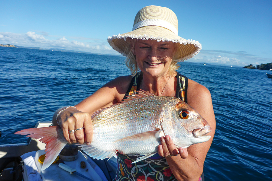 Even one modest snapper can feed a family with side dishes added.