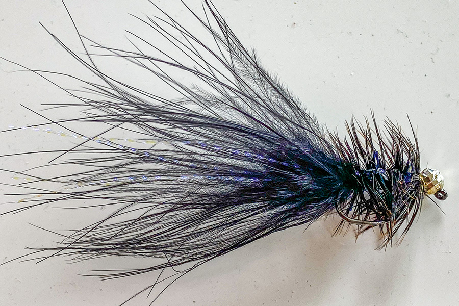 The famous Hirtzel Bugger.