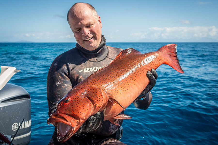 Spearfishing in Queensland The Fishing site