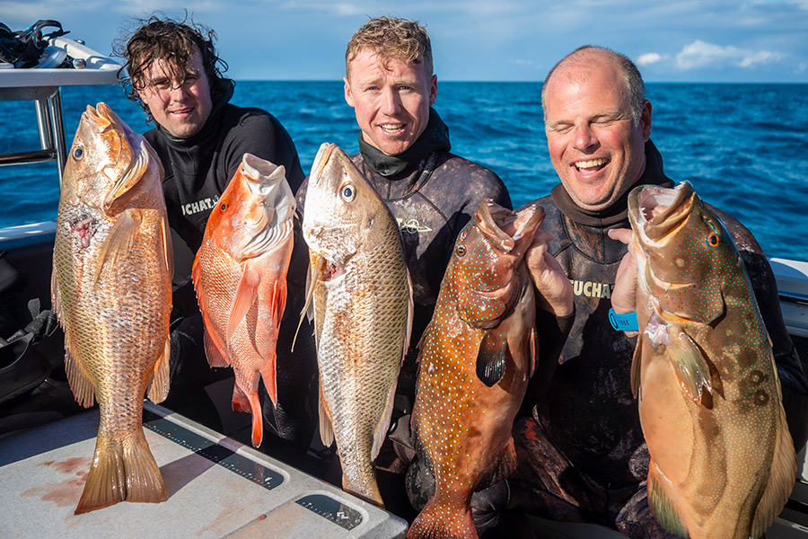 Spearfishing in Queensland The Fishing site