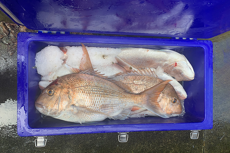 Five Fishing Essentials The Fishing site