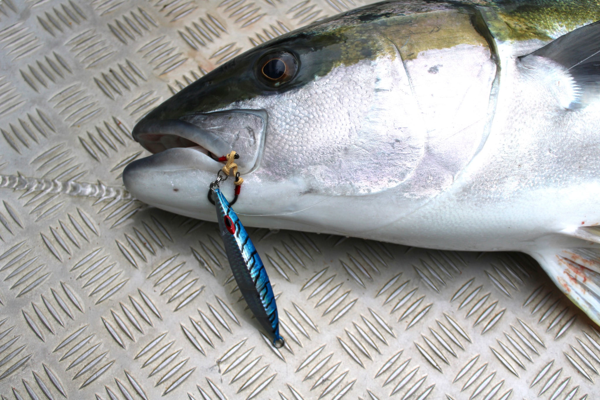 EDGE Fishing Tackle Talk Q&A The Fishing site