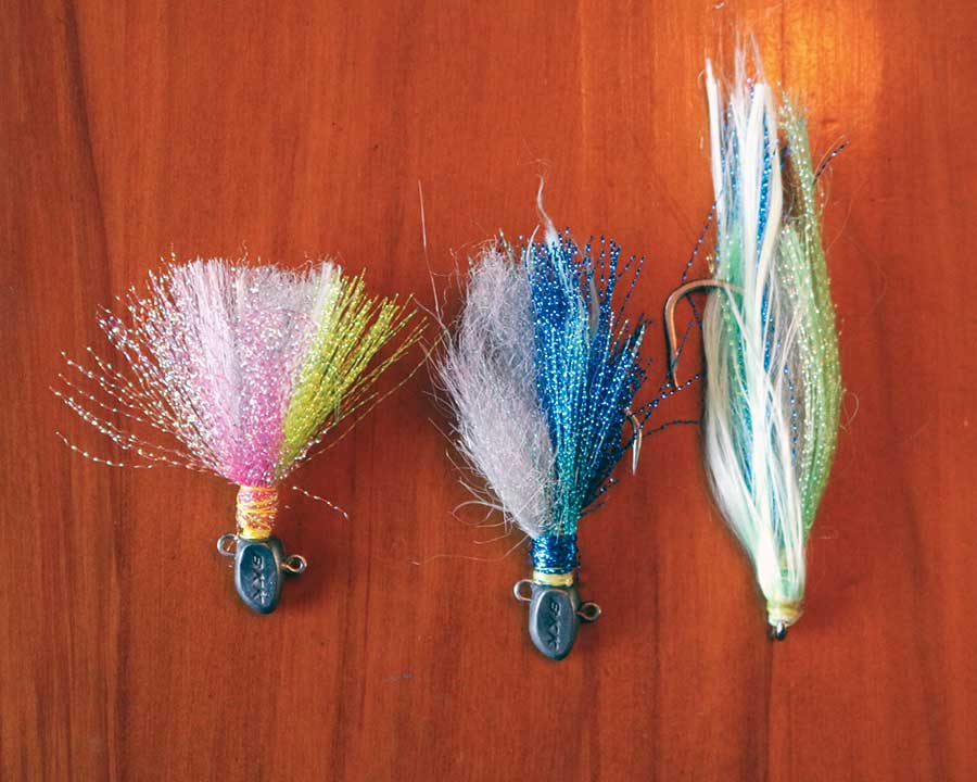 Catching Albacore and Skipjack Tuna The Fishing site