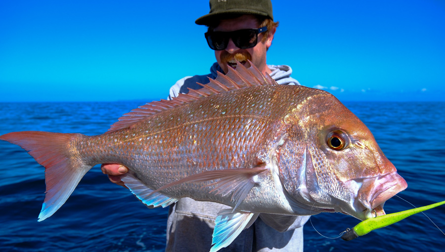 Fishbites New Artificial Bait in Town The Fishing site