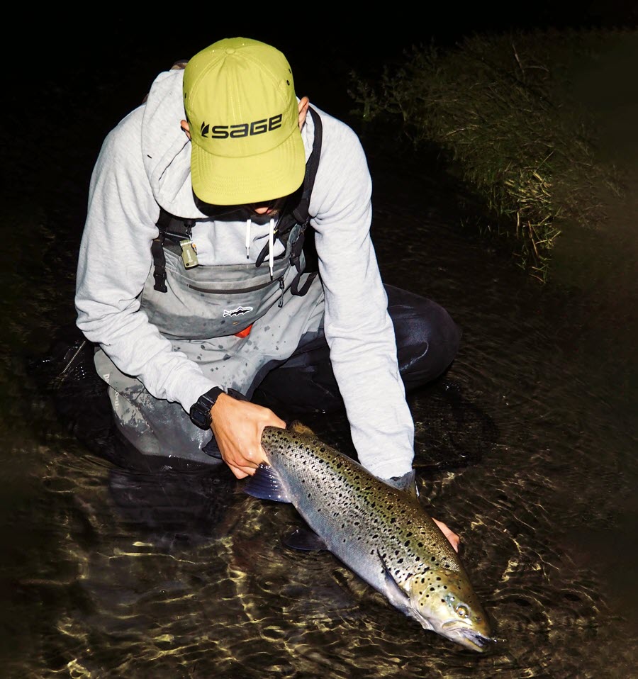 Catching Trophy Brown Trout at Night The Fishing site