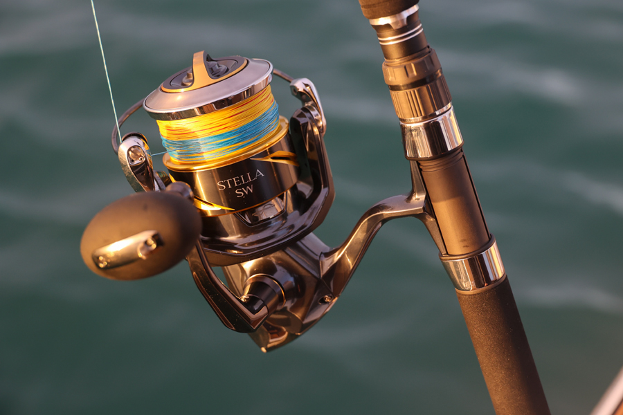 2025 Shimano Stella SW D Review - The Fishing Website