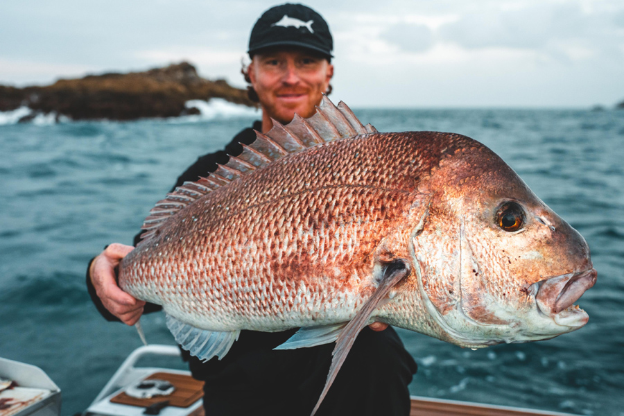 How to Strayline for Snapper - The Fishing Website