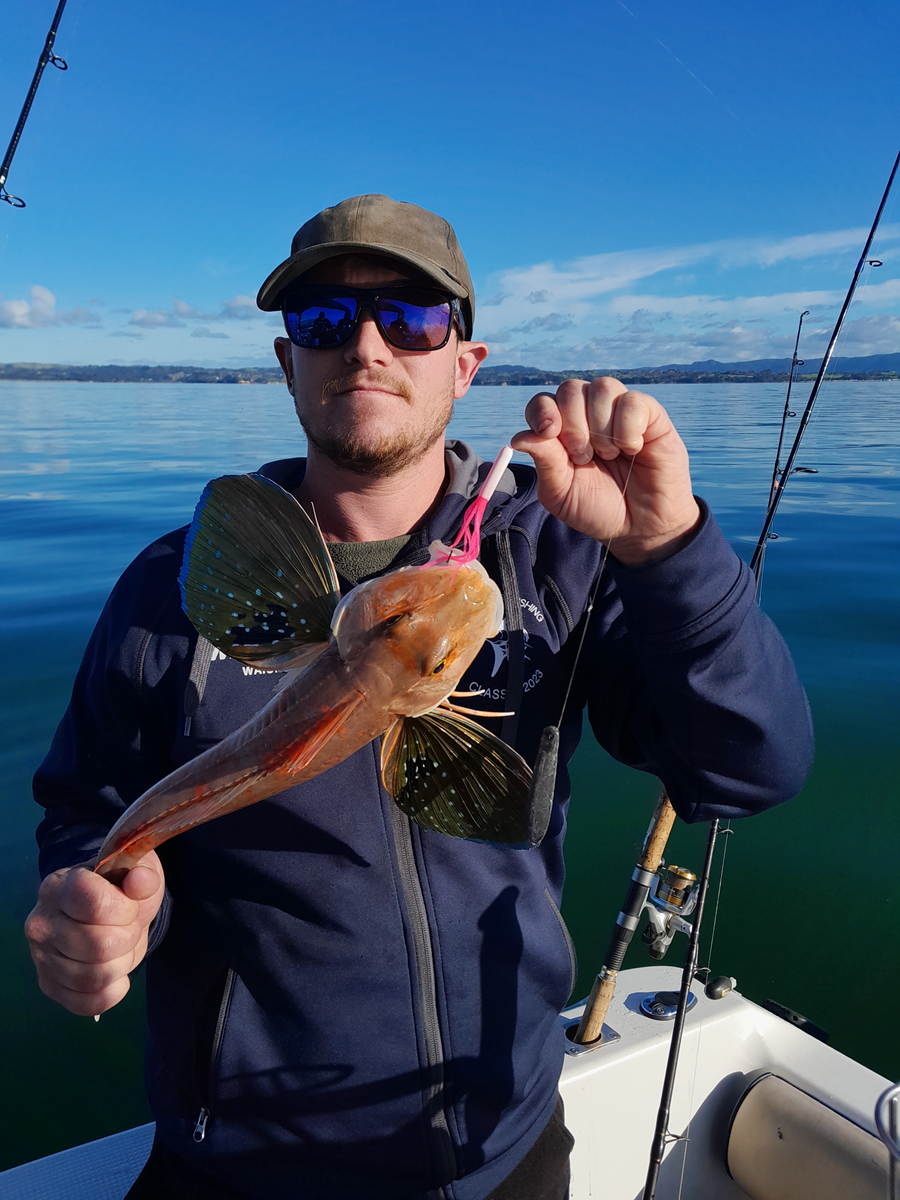 Manukau/West Coast Fishing Report 15/06/23 The Fishing site