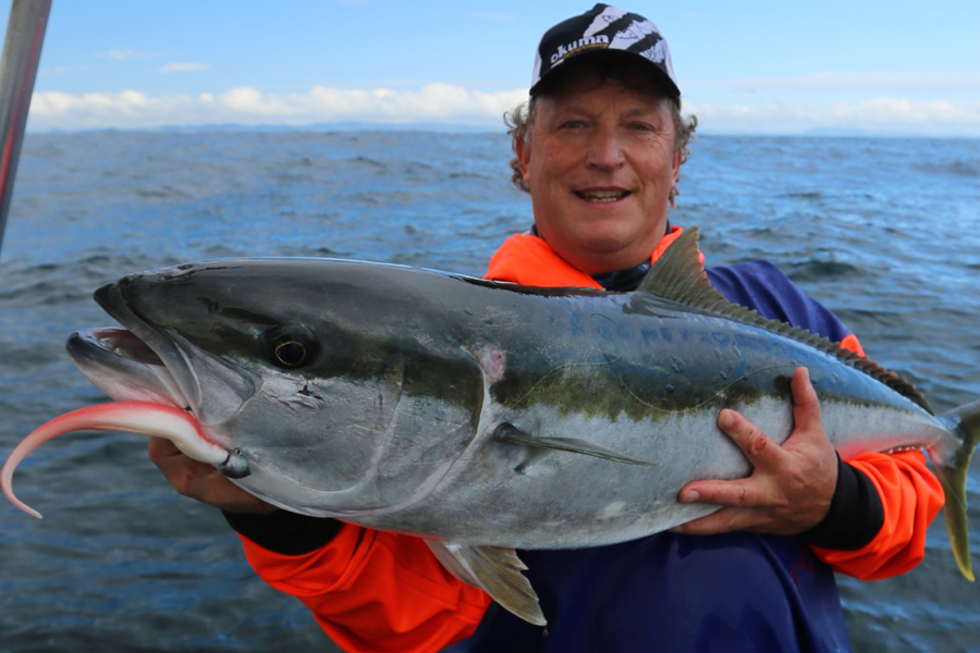 How to Softbait for Kingfish (Part 1) The Fishing site