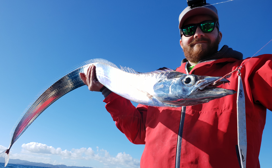 How Fish Bite Lures The Fishing site