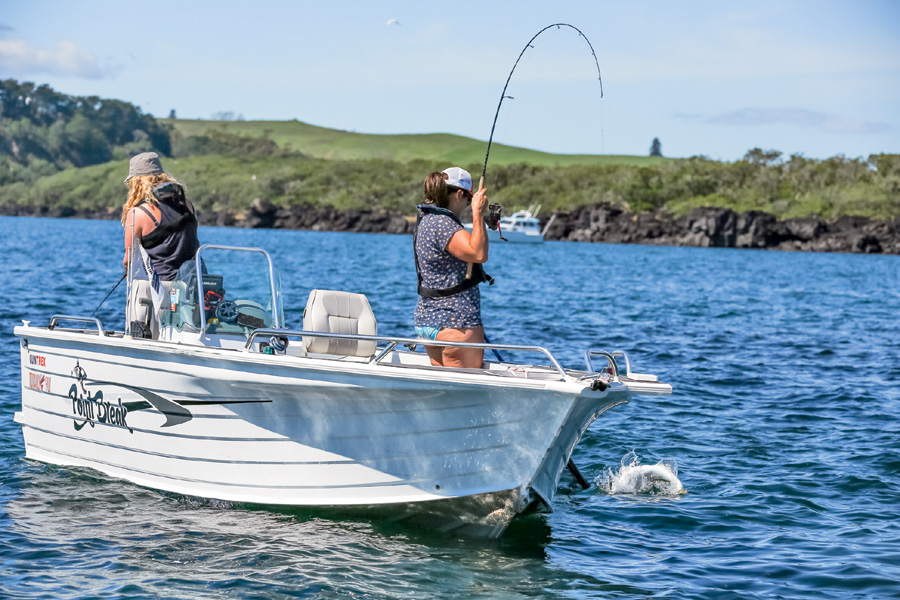 Fishing the Hauraki Gulf anchovy run The Fishing Website