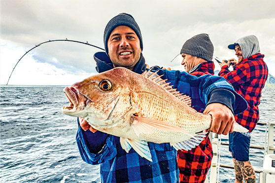 Slow-jigs or Soft-baits?