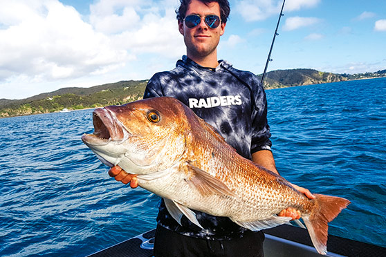 Did Lockdown Affect the Fishing?