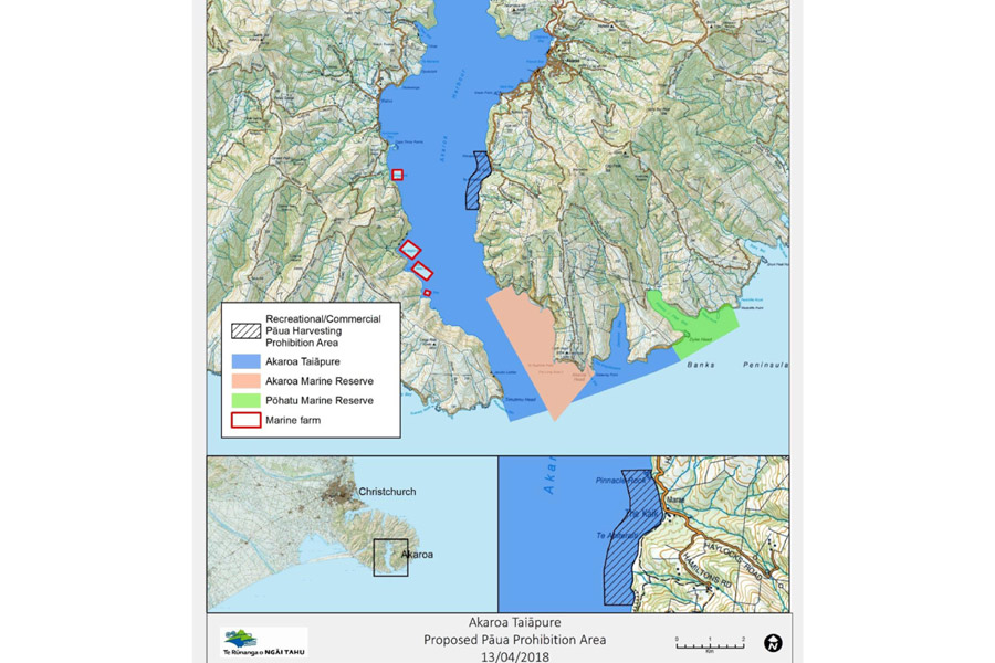 Input sought on Akaroa paua closure