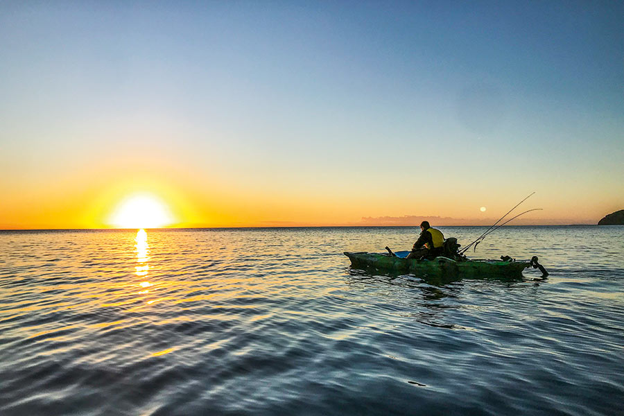 Kawau Island on a Kayak