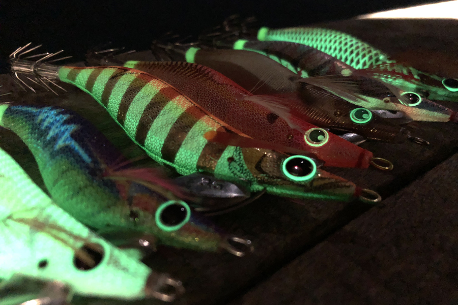Which Squid Jig?