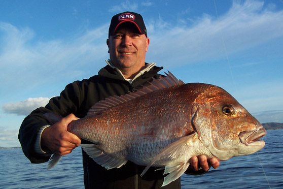 Livebaiting for snapper
