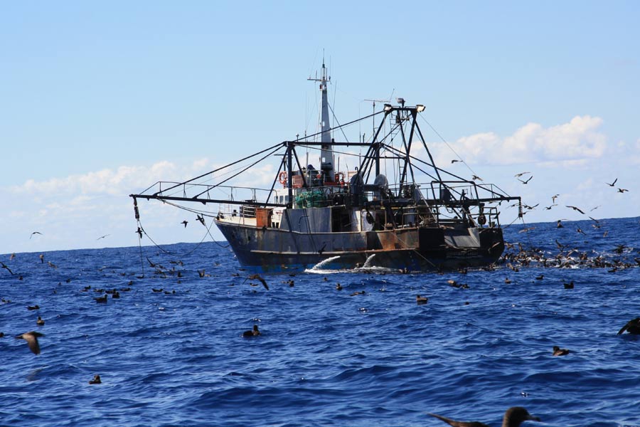 International Fisheries Conservation