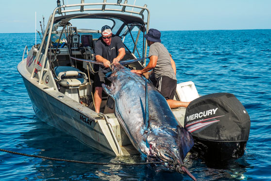 Fishing the NZSFC Nationals