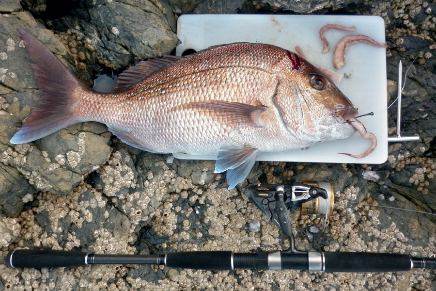 Salting Baits The Fishing site