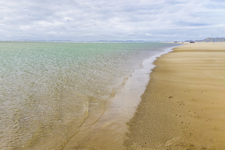 Surfcasting for Gurnard