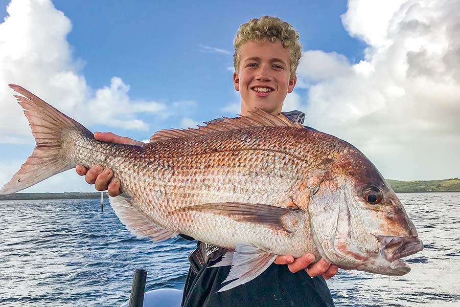 Harbour Fishing Tactics The Fishing site