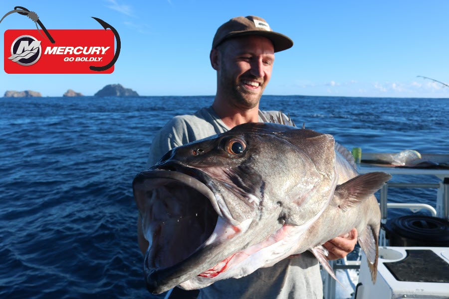 NZ's Latest Fishing Reports 04/05/23 The Fishing site