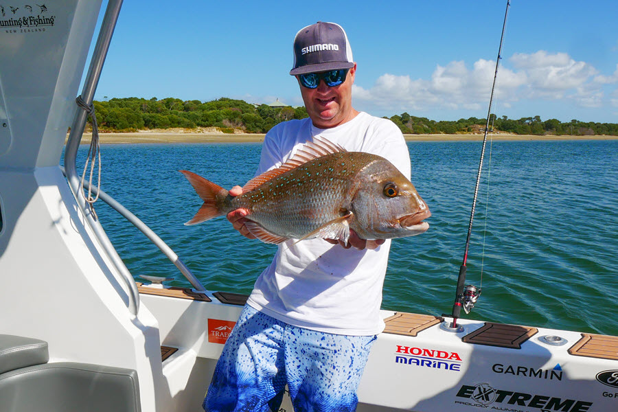 'Skinny' Snapper in the Hauraki Gulf - The Fishing Website