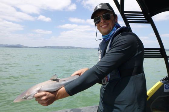Seeking help for school shark research