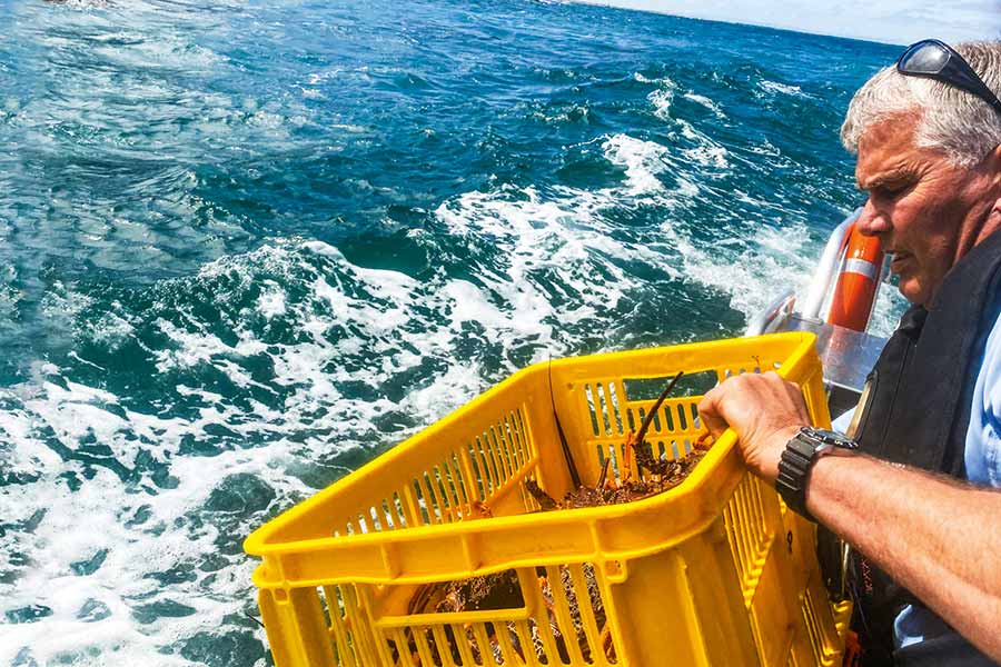 What Happens to Confiscated Seafood?