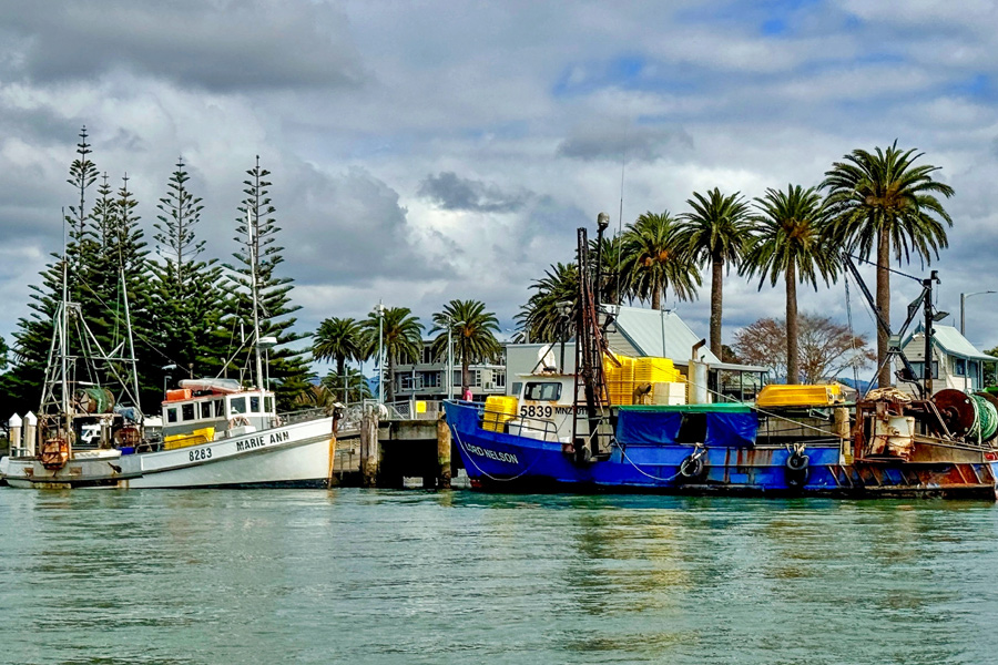 Coromandel Set for Huge Trawling Ban