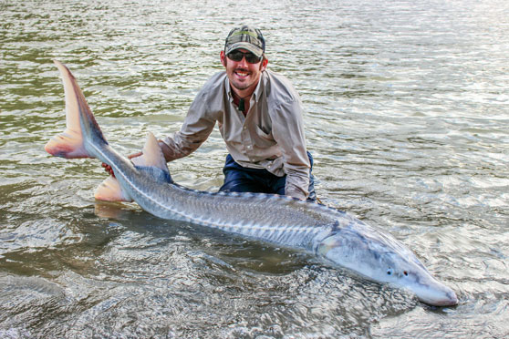 Angling for Sturgeon in Canadian waters
