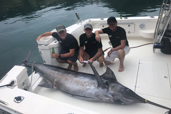 Fitzroy billfish madness