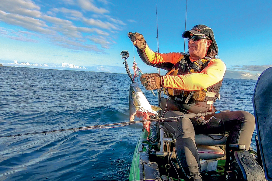 How to avoid sharks when kayak fishing The Fishing site