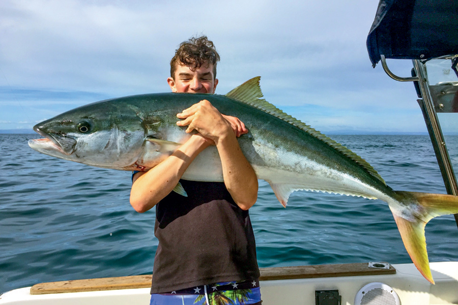 Livebaiting Workups