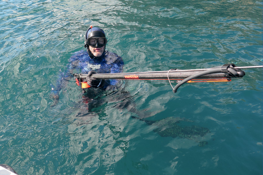 Spearfishing tips and tricks The Fishing site
