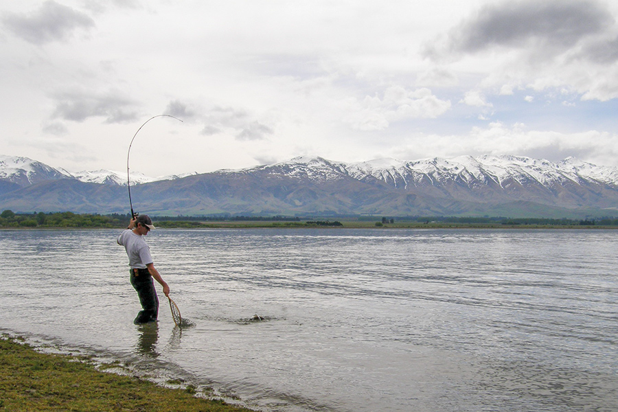 Fishing for Trout with Livebait