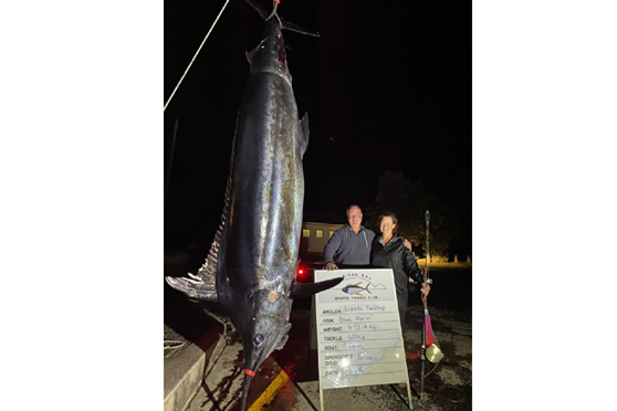 BREAKING: 492.4kg blue marlin – the heaviest ever weighed in NZ - The