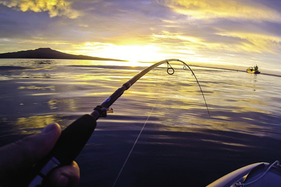 Snapper fishing - casting, lures & timing