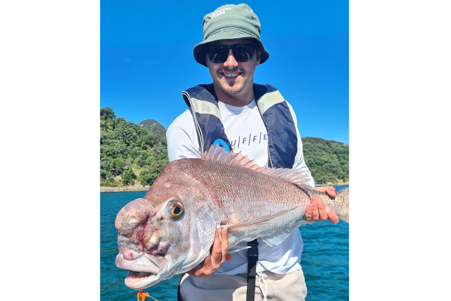 World's ugliest snapper
