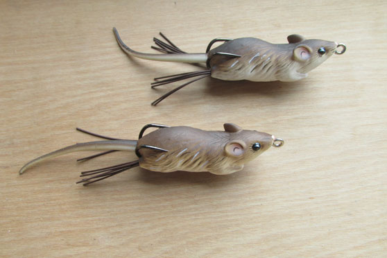 Big trout are rather partial to mice