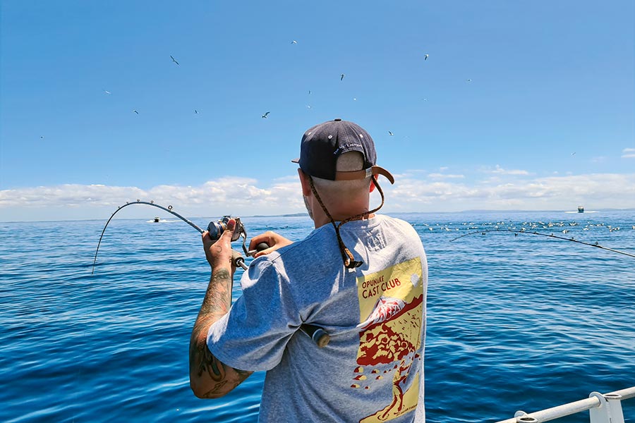 How To Fish Workups