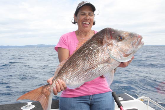 Bream Bay Report - Snapper on the chew