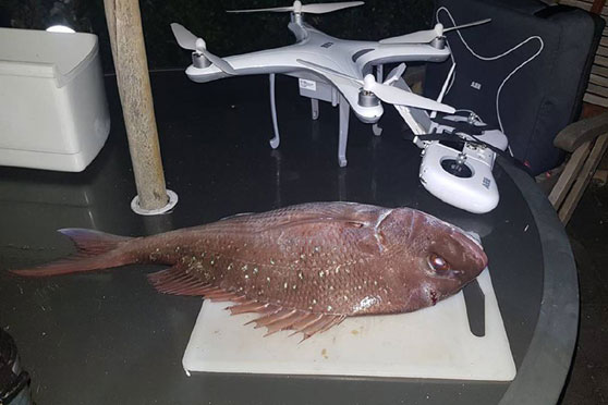 Covid-19 coronavirus: Gone lockdown fishing - from the back porch - The ...