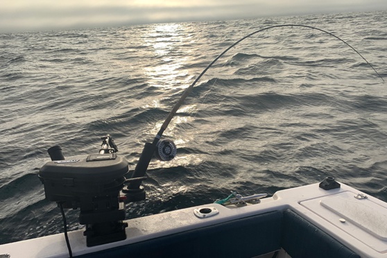 Manuel d'utilisation du downrigger compact Scotty 1060