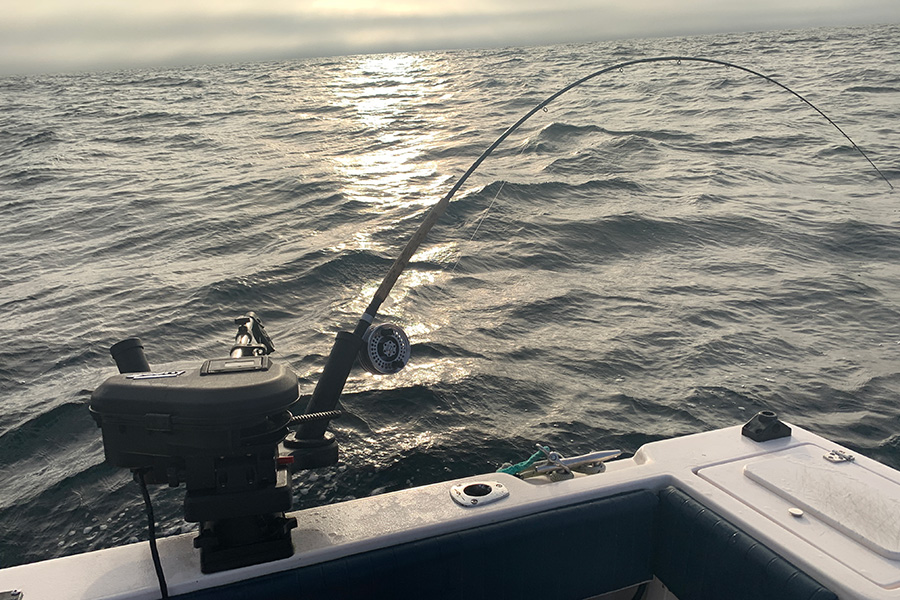 Scotty Downrigger Review The Fishing site